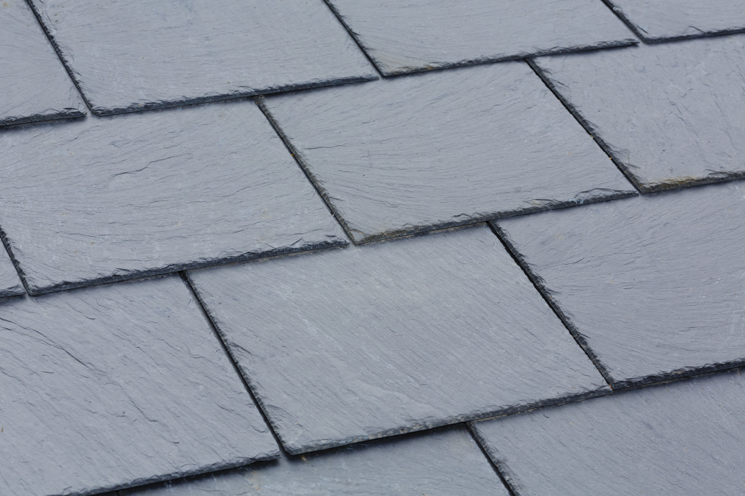 Roof Shingles