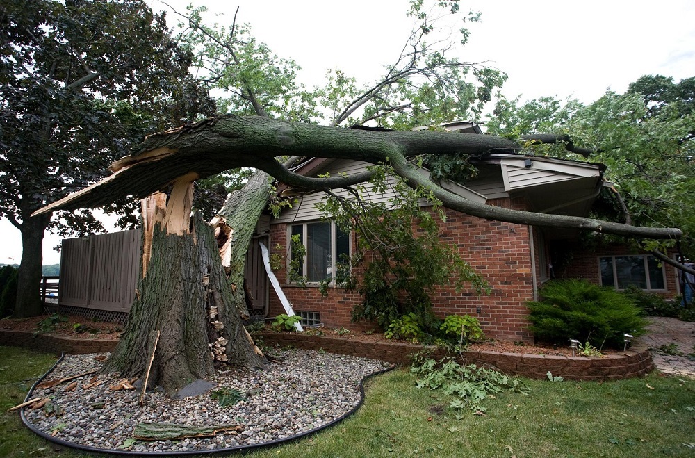 High Winds Damage